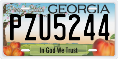 GA license plate PZU5244