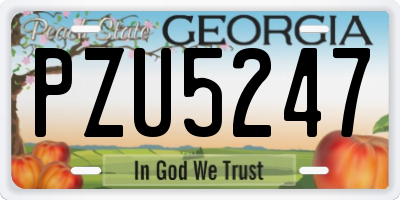 GA license plate PZU5247