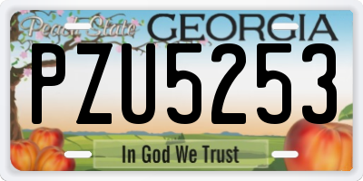 GA license plate PZU5253