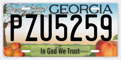 GA license plate PZU5259