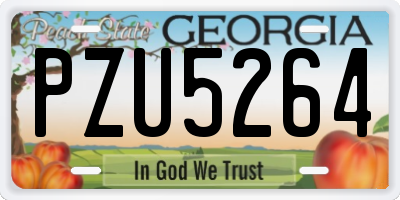 GA license plate PZU5264