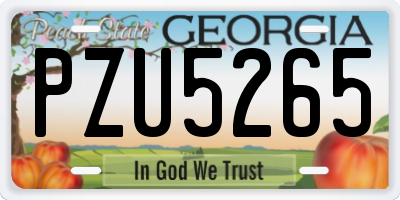 GA license plate PZU5265