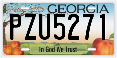 GA license plate PZU5271