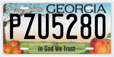 GA license plate PZU5280