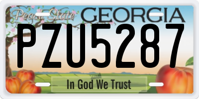 GA license plate PZU5287