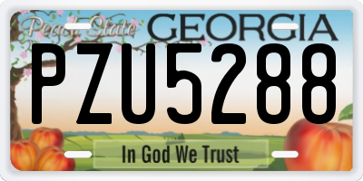 GA license plate PZU5288