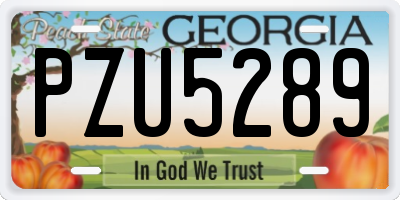 GA license plate PZU5289