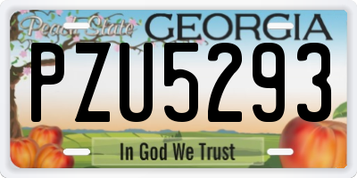 GA license plate PZU5293