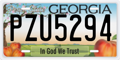 GA license plate PZU5294