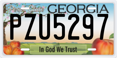 GA license plate PZU5297