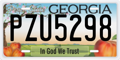 GA license plate PZU5298