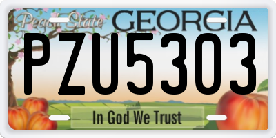 GA license plate PZU5303