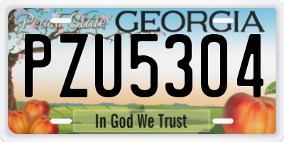 GA license plate PZU5304