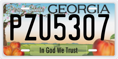 GA license plate PZU5307