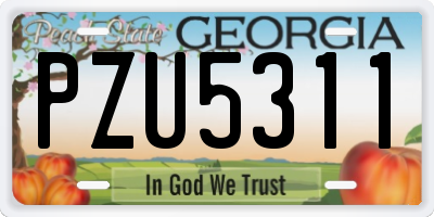 GA license plate PZU5311