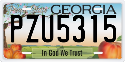 GA license plate PZU5315