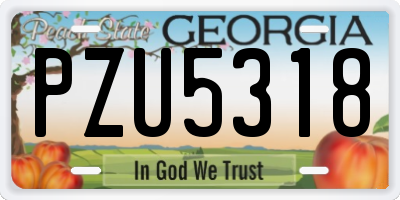GA license plate PZU5318
