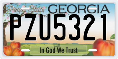 GA license plate PZU5321