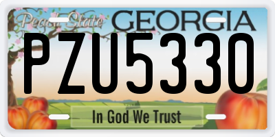 GA license plate PZU5330