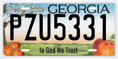 GA license plate PZU5331