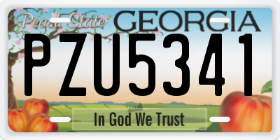 GA license plate PZU5341