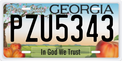 GA license plate PZU5343