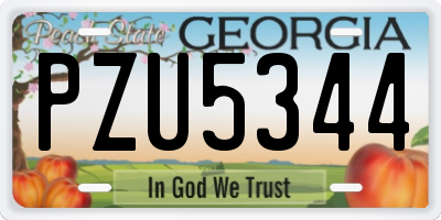 GA license plate PZU5344