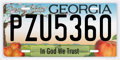GA license plate PZU5360