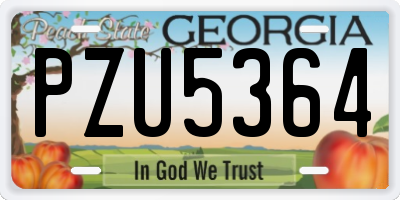 GA license plate PZU5364