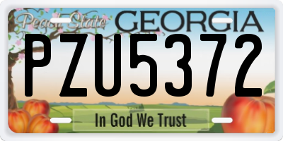 GA license plate PZU5372