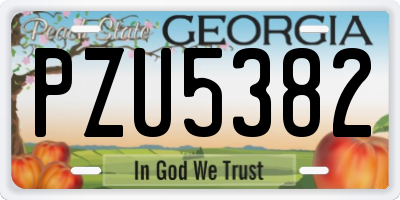 GA license plate PZU5382