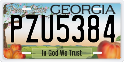 GA license plate PZU5384
