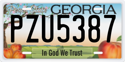 GA license plate PZU5387