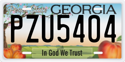 GA license plate PZU5404