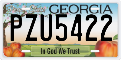 GA license plate PZU5422