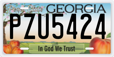 GA license plate PZU5424