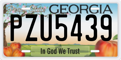 GA license plate PZU5439