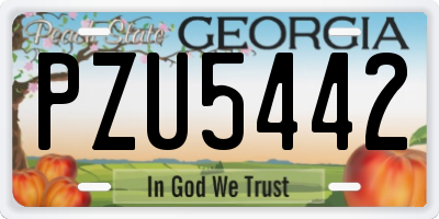 GA license plate PZU5442