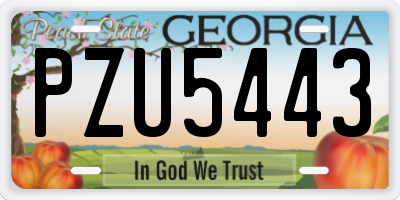 GA license plate PZU5443