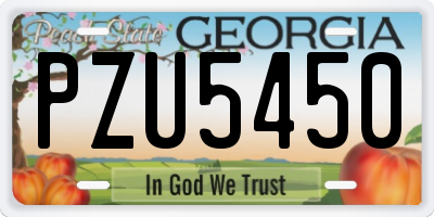 GA license plate PZU5450