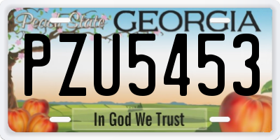 GA license plate PZU5453