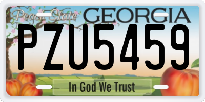 GA license plate PZU5459
