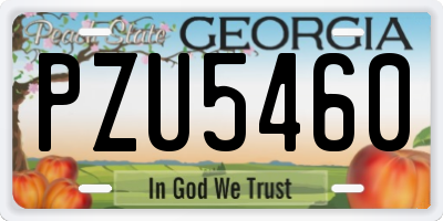 GA license plate PZU5460