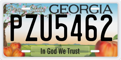 GA license plate PZU5462