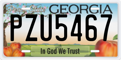 GA license plate PZU5467