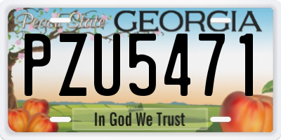 GA license plate PZU5471