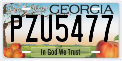 GA license plate PZU5477