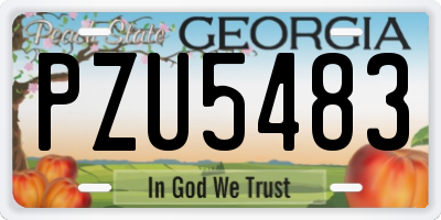 GA license plate PZU5483