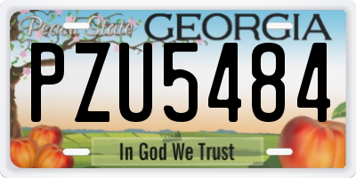 GA license plate PZU5484