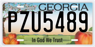 GA license plate PZU5489